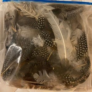 Gallon Size Bag of Naturally Shed Feathers Mix of Guinea Fowl and Chicken